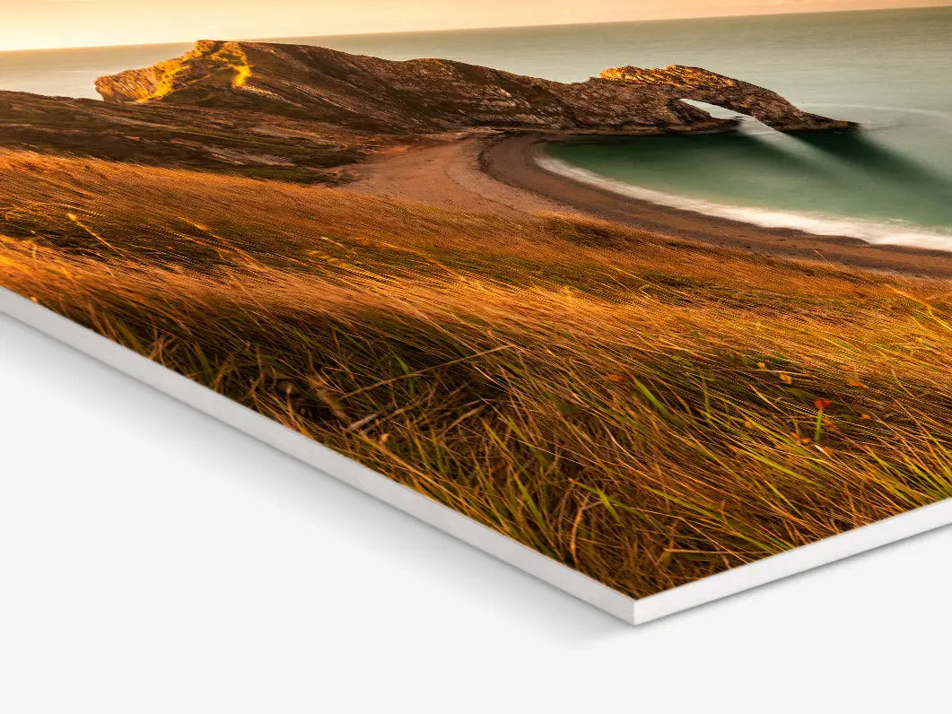 stampa in forex ripresa lateralmente